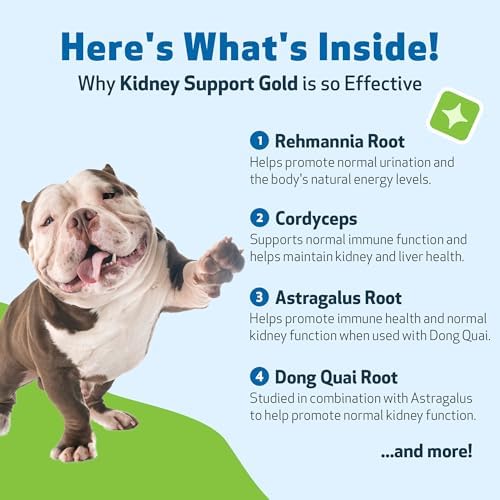 Pet Wellbeing Kidney Support Gold for Dogs - Kidney Care & Hydration, 2 oz