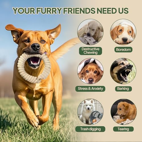 TwoEar Dog Rope Toy 4 Pack - Puppy Teething Toys for Small Breed
