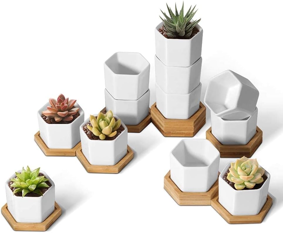 T4U Small White Succulent Planter Pots with Bamboo Tray Hexagon Set of 2, Geometric Ceramic Cactus Plant Holder, Succulent Plant Gifts for Gardener Women Coworker, Home Office Table Desk Decoration | Live cactus bonsai starter, Indoor windowsill decor, O…