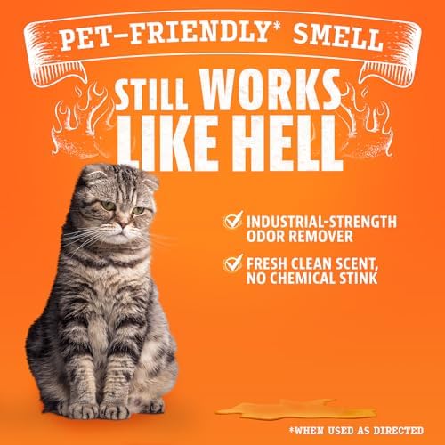 Angry Orange Pet Odor Eliminator 8 oz. bottle- Industrial Strength Pet Odor Remover - Makes (4) 32oz. Bottles - 1 Gallon - Neutralizes and Sanitizes Tough Pet Odors Fast