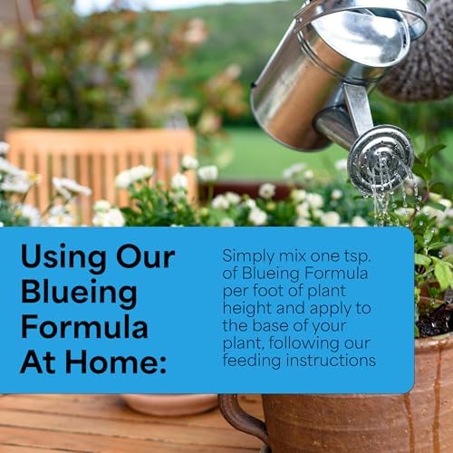 Grow More Hydrangea Blueing Formula - 2lbs of USA-Made Soil Acidifier for Hydrangeas, Azaleas, Gardenias