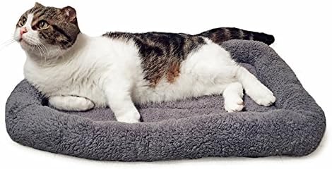 LESYPET Cat Bed for Indoor Cats, Soft Cat Cushion with Cat Pillow Around, Rectangle Kitten Pad Small Bed for Window Sill, 15'' x 10''