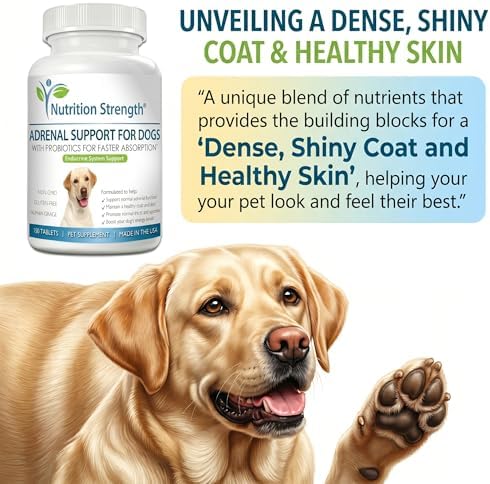 Adrenal Support for Dogs with Cushing's Disease | Maintain a Healthy Coat and Skin | Promote Normal Urination