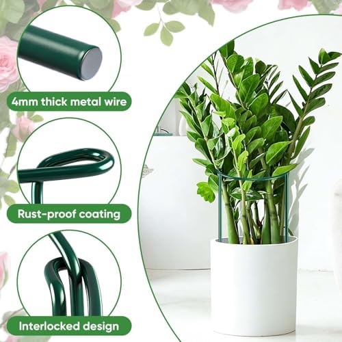 HiGift 8 Pack Plant Support Stakes, Half Round Metal Garden Plant Stake Indoor Peony Cages and Supports, Green Plant Support Ring Border for Tomato