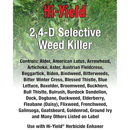 Hi-Yield (21416) 2,4-D Selective Weed Killer, 1 gal | 2,4-D amine selective herbicide - 1 gal concentrate for broadcast broadleaf weed control - Acreage operators