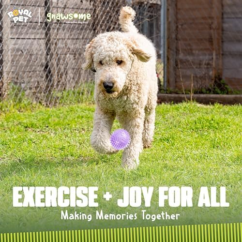 Gnawsome Medium Squeaker Ball Dog Toy, Medium 3.5", Colors will vary, All Breed Sizes