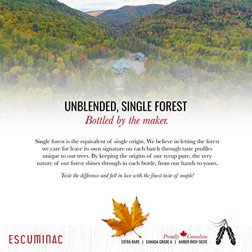Escuminac Canadian Maple Syrup, Extra Rare Amber Rich Taste, Pure & Organic. Mini Glass Bottles 12 x 50ml, Bulk Format for Party Favors, Wedding