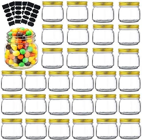 Rainforce Mason Jars 8 oz 30 Pack Small Glass Caning Jars with Silver Lids