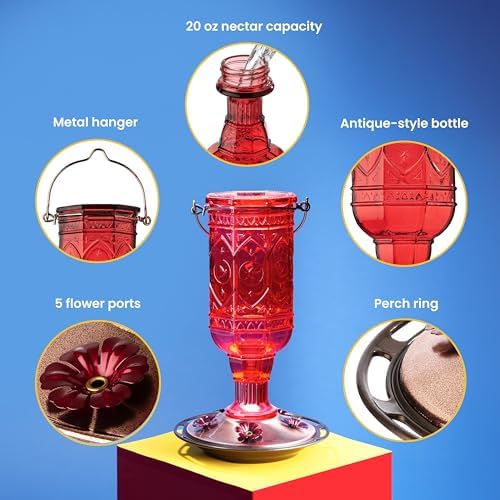 More Birds Red Jewel Hummingbird Feeder, Glass Bottle, 5 Feeding Ports and 20-Ounce Nectar Capacity (76IN)