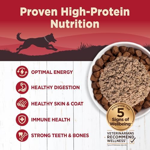 Wellness CORE 95% Adult Canned Wet Dog Food, Grain Free, Natural, Beef with Carrots Recipe, 12.5 oz, Pack of 12 Cans