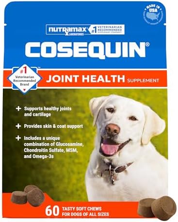 Nutramax Cosequin Dog Joint Supplement, Skin & Coat, Soft Chews, 60ct | Glucosamine & Chondroitin for Dogs with MSM, Omega-3s, Supports Joints