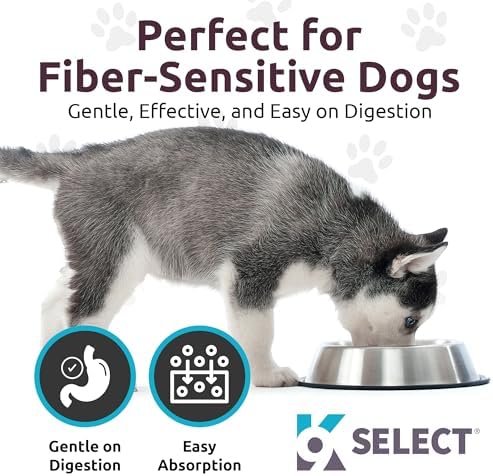 HMR Lignans for Dogs - Enhancer for Overall Wellness, Immune Support for Dogs - Norway Spruce Extract Holistic Dog Health - Digestion