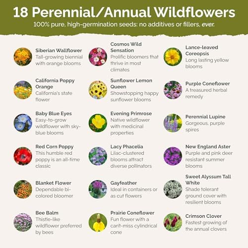 Eden Brothers The Bees Knees Pollinator Wildflower Seed Mix, 1/4 lb (135,000+ Seeds) Throw and Grow - 100% Pure, No Fillers - 18-Variety Non-GMO Annual + Perennial, Covers up to 1,100 SqFt, Zones 3-10