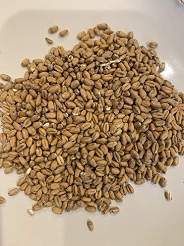 North Georgia Still Company's Fermentation Kit for Moonshine, Malted Barley, Rye & Wheat Whiskey, DIY 5 Gallon Mash Kit