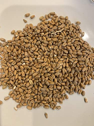 North Georgia Still Company's Fermentation Kit for Moonshine, Malted Rye & Wheat Whiskey, DIY 5 Gallon Mash Kit