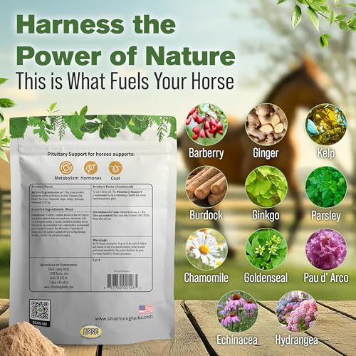 Horse Pituitary Gland Supplements - 1 lb | Pituitary Gland Supplements for Horses, Barberry, Burdock & Kelp, Shedding, Coat & Metabolism Support, 1 lb