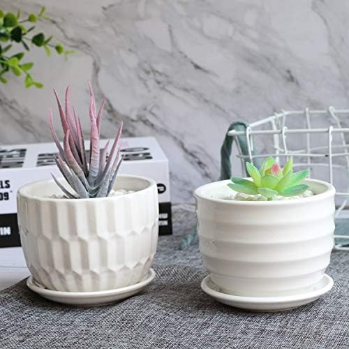Flower Pots, 4 Inch Cylinder Ceramic Plant Pots with Connected Saucer, Mini Ceramic Planters for Succulent and Little Snake Plants (6 Pack, White)