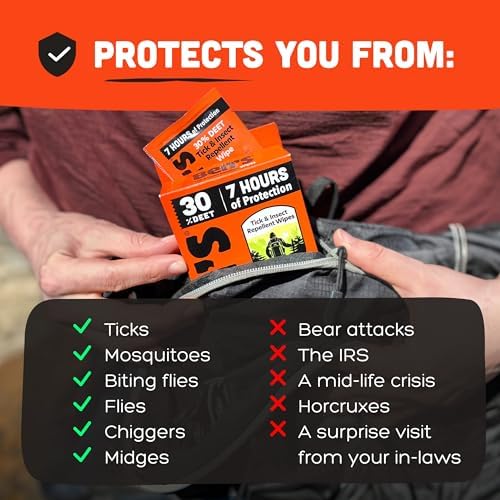 Ben's Tick & Insect Repellent Wipes, 30% DEET, 12 Wipes, 4 Pack