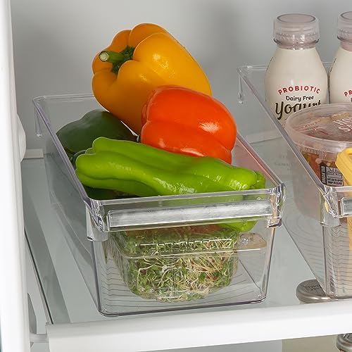 Kitchen Details 2 Pack Medium Refrigerator Storage Bin | Fridge & Freezer | Kitchen Organization | Stainless Steel Handle | Countertop | Cabinets