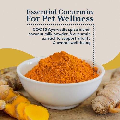 Ayush Pet CoCurcumin with CoQ10, Immune Support, 5.2 Oz
