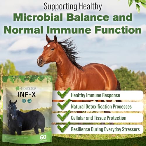 INF-X Horse Immune Booster Supplement - 1 lb | Horse Immune Booster, Garlic, Goldenseal, Myrrh & Olive Leaf, Cellular & Natural Defense Support, 1 lb