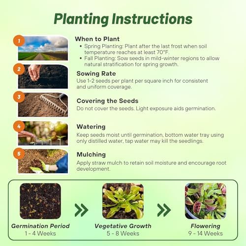 Outsidepride Venus Flytrap Seeds - 20 Pcs Perennial, Unique & Carnivorous, Indoor Plant Seeds for House Plants, Easy to Grow & Low Maintenance
