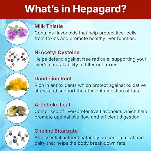 Hepagard Natural Liver Support Supplement with NAC, Vegan, Gluten-Free