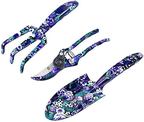 FLORA GUARD 6-Piece Garden Tool Set | Heavy Duty Gardening Hand Tools with High Carbon Steel Including Trowel, Rakes, 2-in-1 Hoe and Crack Weeder