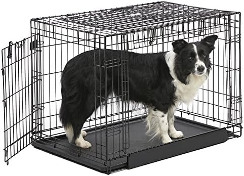 MidWest Homes for Pets Medium Ovation Double Door 30-inch Folding Metal Dog Crate, Front and Up & Away Side Doors, Space-Saving Design