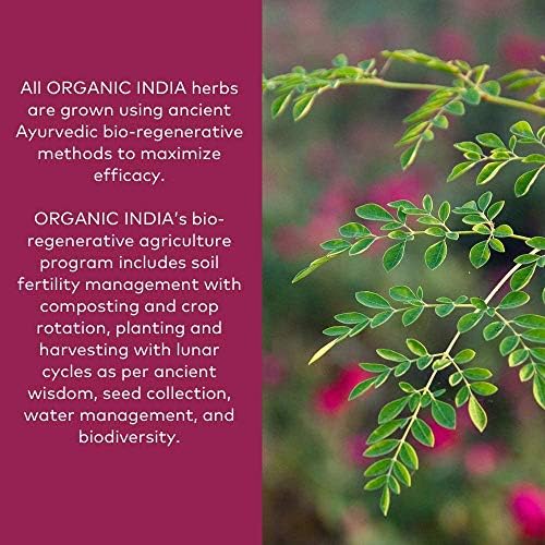 ORGANIC INDIA Ashwagandha Powder Organic - Ashwagandha Root Powder Bulk, Herbal Supplement - Vegan, Gluten-Free, Kosher, Non-GMO
