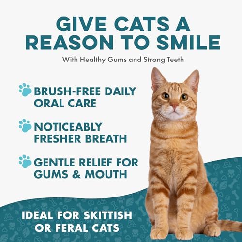 BestLife4Pets Cat Dental Care Supplement - 400 Pills