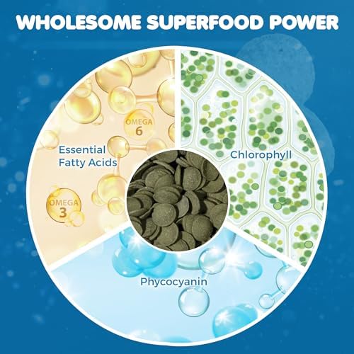 SunGrow Spirulina Protein Wafers for Shrimps, 1.75 oz Nutritional Snack, High-Protein Food for Freshwater Shrimp, Ideal for Betta Fish Supplies, Aquarium Salt Setups, Nano Tanks & Bottom Feeders