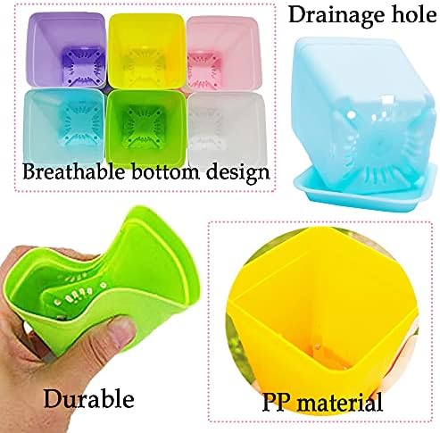 Haawooky 24 Pack Colorful Flower Pots Square Plastic Plant Pots Succulent Planter Nursery Pots with Saucers for Your Room