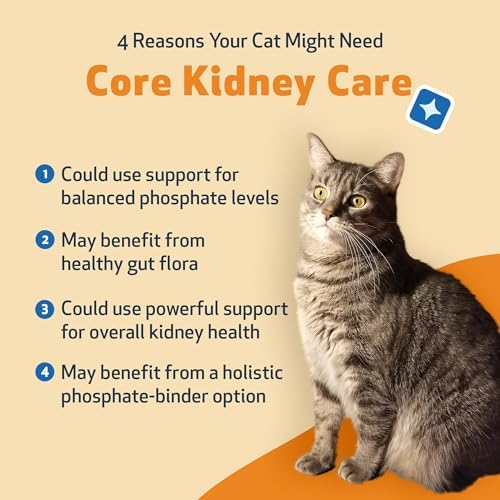 Pet Wellbeing Kidney Support Gold for Cats - Supports Normal Kidney Function & Detox, Healthy Hydration & Energy with Rehmannia & Dong Quai - NASC Certified & Vet-Formulated - 2oz Liquid Formula | NASC Certified & Vet-Formulated Liquid Kidney Support Sup…