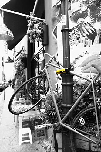 Kryptonite New York Standard Heavy Duty Bicycle U Lock Bike Lock