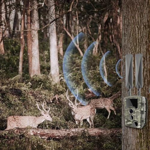 Cellular Trail Camera Upgrade Replacement RP-SMA Male Antenna Booster for Spypoint Link Micro EVO Tactacam Reveal Defend XB X Pro Reveal X Gen