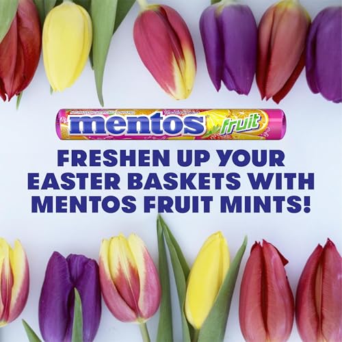 Mentos Fruit Chewy Mint Candy Roll, Mixed Fruit Flavors, Valentine's Day Candy for Parties & Favors, 14 Pieces Per Roll (Pack of 6) | Individually Wrapped Candy for Kids & Adults, Bulk Candy, Great for Parties, Birthdays, Holidays