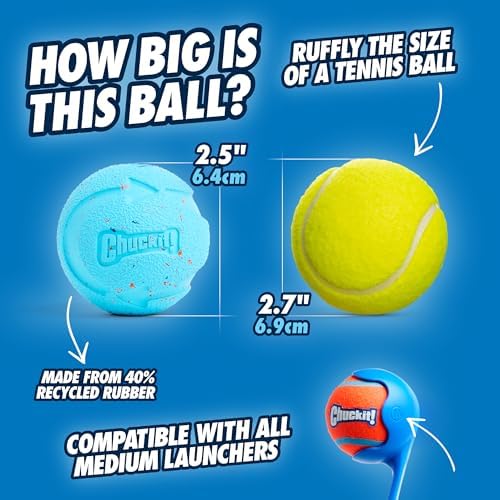 Chuckit! Rebounce Ball Dog Toy, Medium 2.5 Inch, for Dogs 20-60 lbs, Blue | Bouncy rubber build, unpredictable bounce pattern, durable outdoor construction, pack of 2 balls, great for playtime today