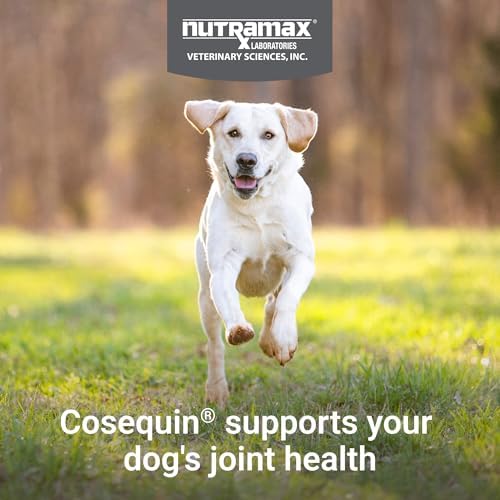 Nutramax Cosequin Dog Joint Supplement, Skin & Coat, Soft Chews, 60ct | Glucosamine & Chondroitin for Dogs with MSM, Omega-3s, Supports Joints