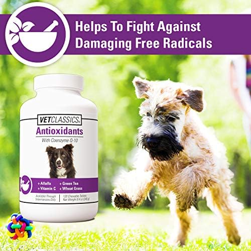 Coenzyme Q-10 Antioxidant Dog Supplement – Pet Health Supplement for Dogs – Supports Overall Dog Wellness, Aging – Includes Green Tea, Vitamin C