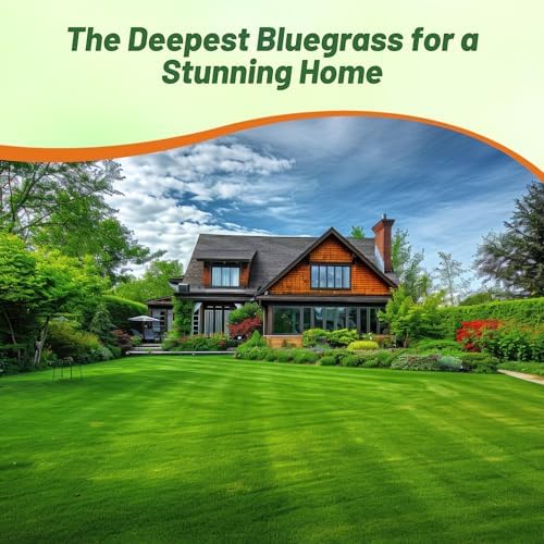 Outsidepride Midnight Kentucky Bluegrass Seed - 10 Lbs. Cold & Drought Tolerant, Sun-Loving Lawn Grass Seed, w/High Traffic Tolerance & Deep Root System, OptiGrowth Coated for Better Establishment