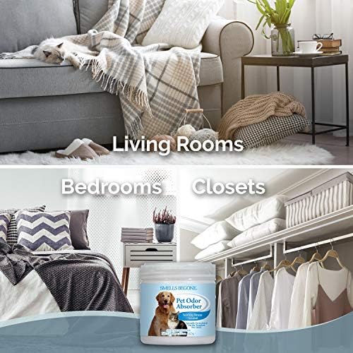 SMELLS BEGONE 15oz Gel Odor Eliminator - Absorb & Remove Tough Odors in Pet Areas, Bathrooms, Basements, Garage, Cars, RVs & Boats - Eliminate Odors Quickly (1-Pack, Pet Calming Rain)