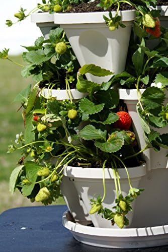 Mr. Stacky 3 Tier Stackable Herb Garden Planter Set with Bottom Saucer - Stone Color - Vertical Container Pots for Herbs, Strawberries, Flowers
