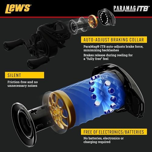 Team Lew's Pro SP Baitcast Fishing Reel