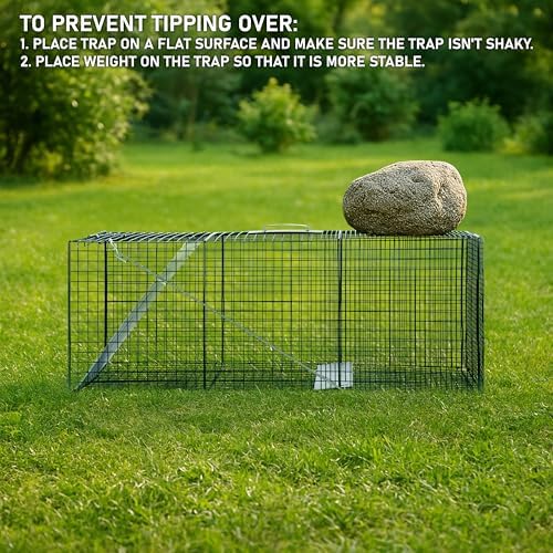 HOMESTEAD 42'' Heavy Duty Live Animal Trap - Professional Quick Set Trigger, Galvanized Steel Cage, Camouflage Finish, Rust Proof Mesh