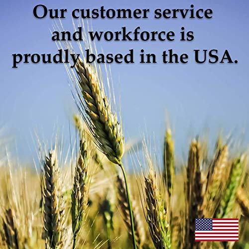Handy Pantry Organic Whole Wheat Kernels Hard White Wheat Grain 1Lb Non-GMO | Heirloom Wheat Seeds for Hard White Wheat Berry Seeds for Sprouting Organic Wheatgrass Wheat Berry Bread Winter Wheat Seed