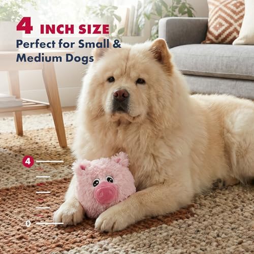 PetLou D.O.G'Z 4-inch EZ Squeaky Pig Dog Plush Toy,Durable Squeaks Bouncy Ball Dog Toy
