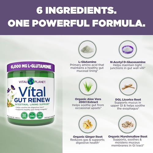 Vital Planet - Vital Gut Renew Powder Supplement for Leaky Gut Repair with L-Glutamine, Marshmallow and Ginger Root