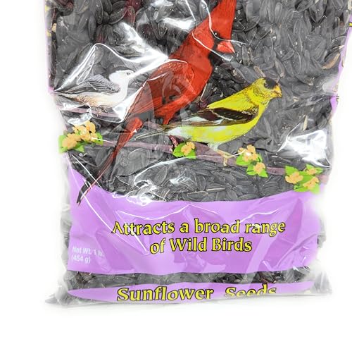 Wholesale C.B Black Oil Sunflower Seeds 1 Lb