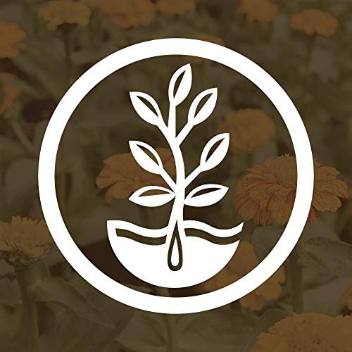 Mountain Valley Seed Co No-Till Garden Farm and Garden Cover Crop Mix Seeds | 5 Lbs - Blend of Gardening Cover Crop Seeds: Hairy Vetch, Daikon Radish, Forage Collards, Triticale, More
